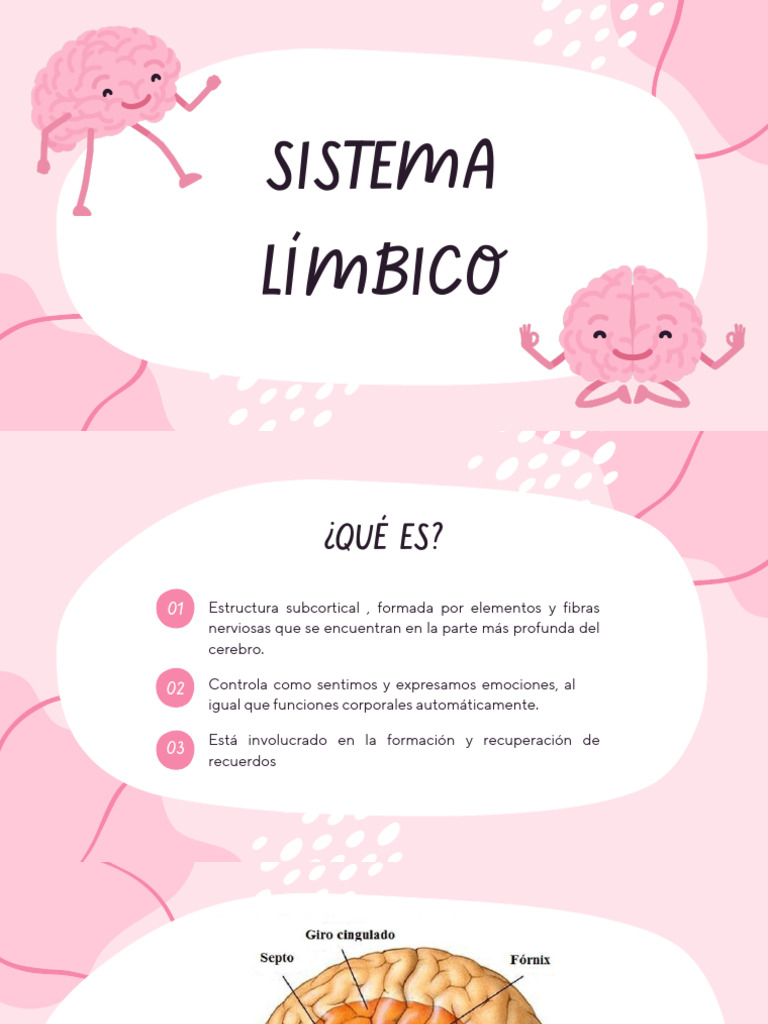 Estructura y Funciones del Sistema Límbico | PDF | Cerebro | Las emociones