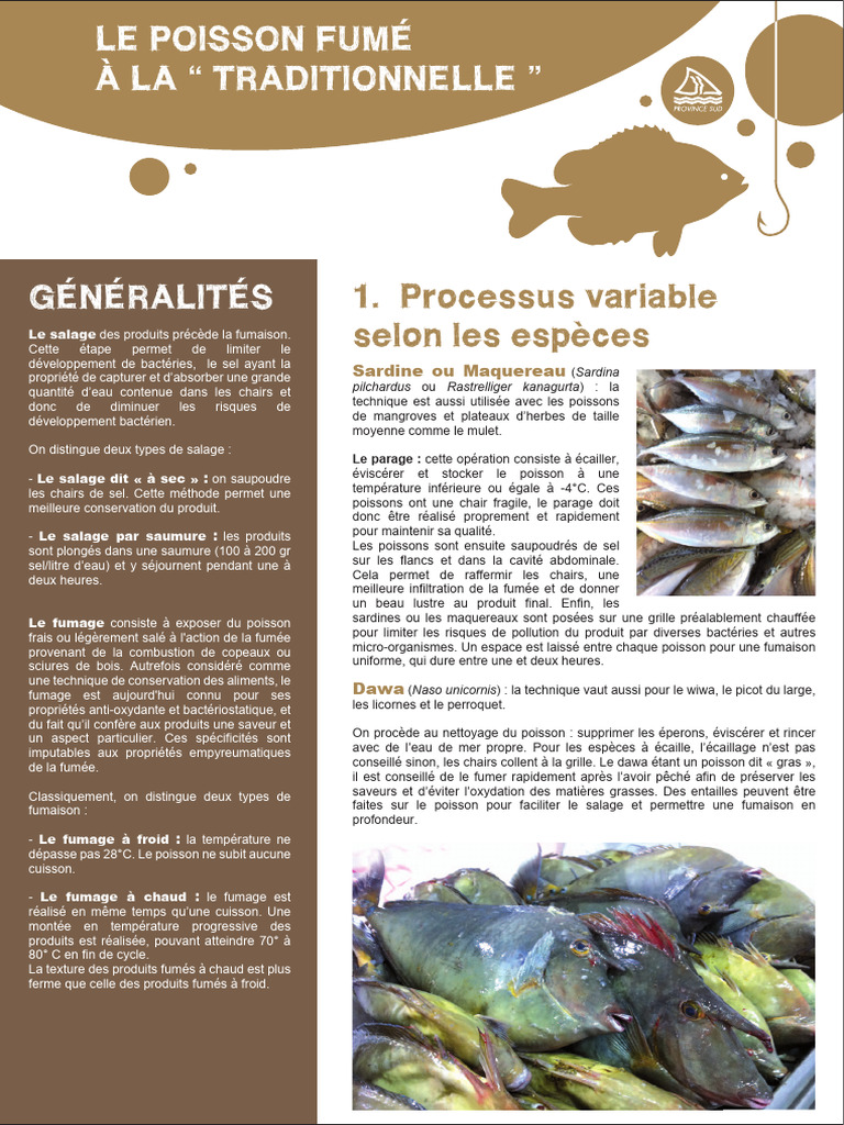 Techniques de Fumage du Poisson | PDF | Fumer (Cuisine)