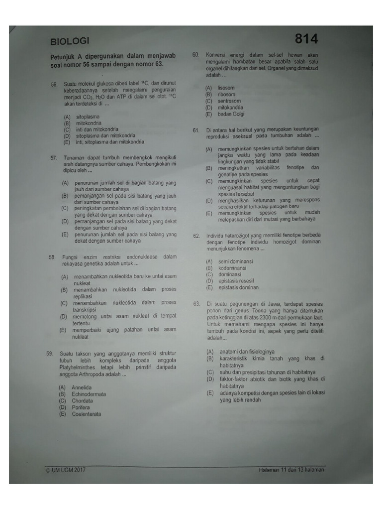 UM UGM 2017 TK SAINTEK - Kode 814 Asli (WWW - Defantri.com) - 13 | PDF