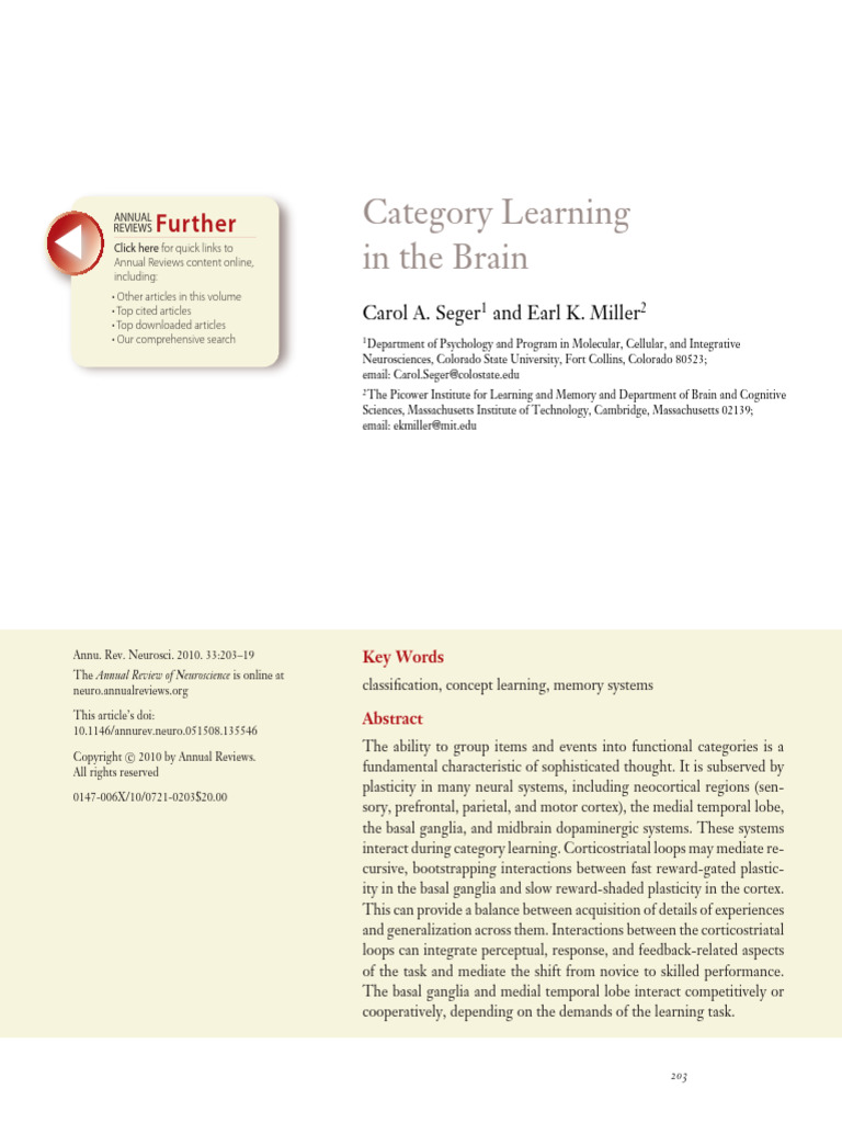 2010category Learning in The Brain | PDF | Prefrontal Cortex | Cerebral ...