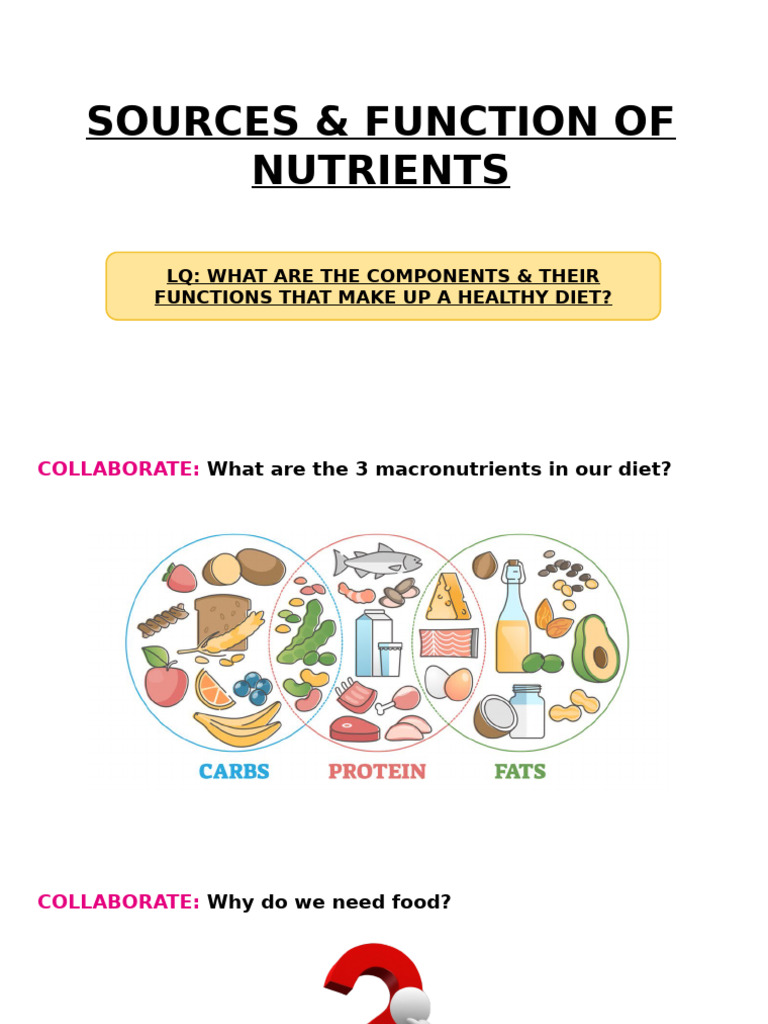 Function of Nutrients | PDF