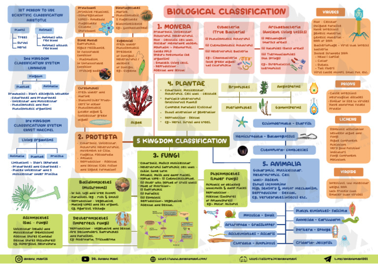Overview of Biological Classification Systems | PDF | Sexual ...