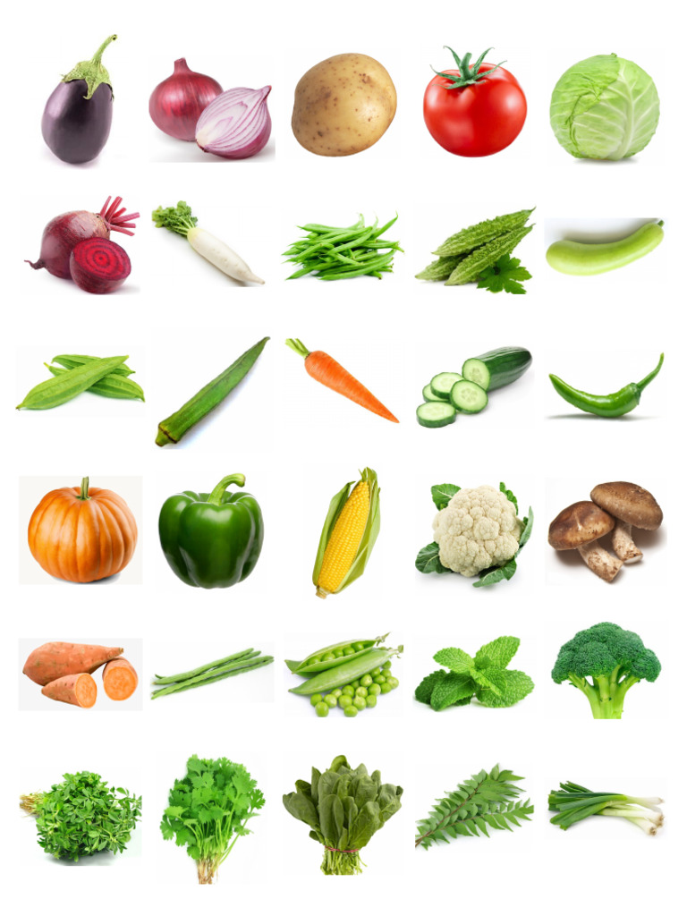 UKG EVS Vegetables | PDF