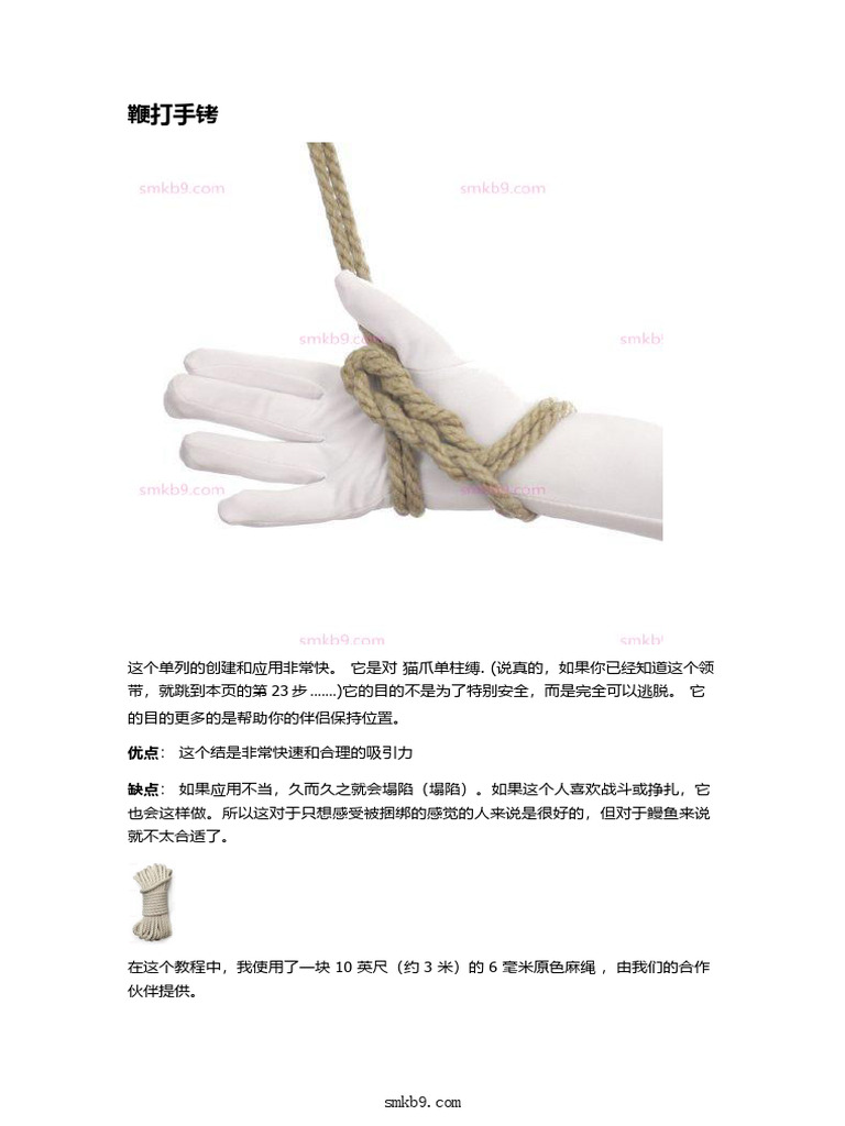 19鞭打手铐 | PDF