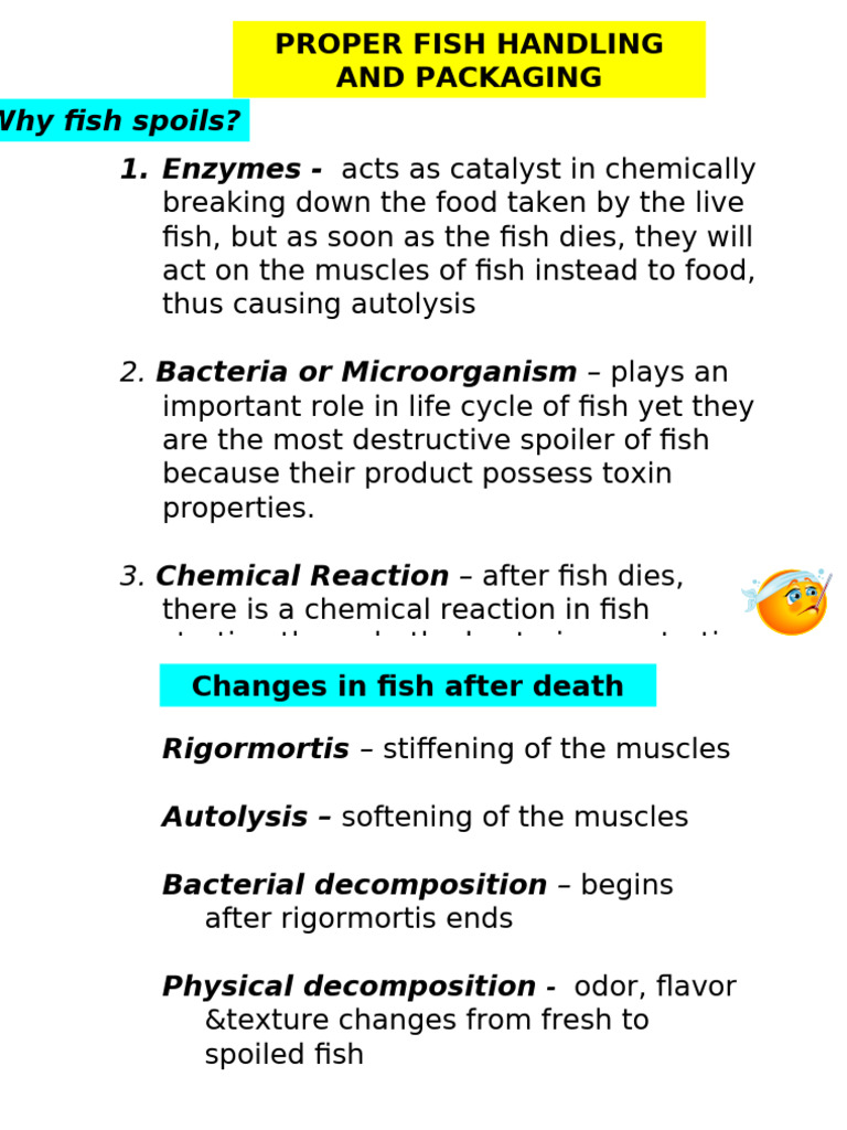 Proper Fish Handling and Packaging Guide | PDF | Ice | Decomposition