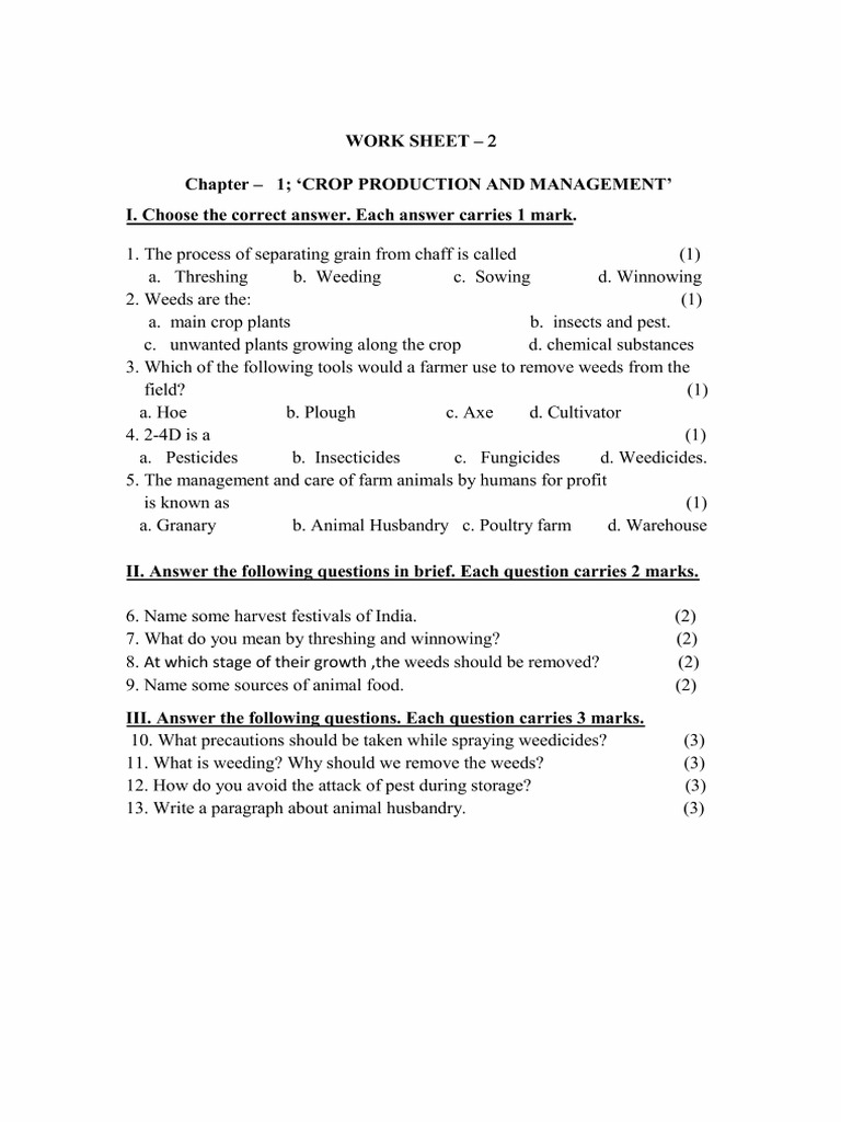 Worksheet 2 | PDF