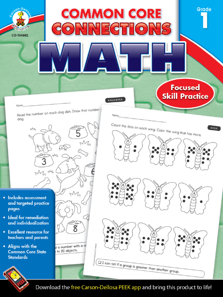 Common Core Connections Math Grade 1 Skill Assessment | PDF | Mathematics