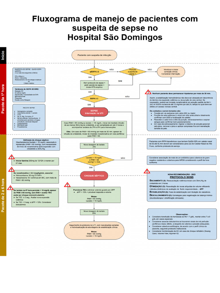 Protocolo de Sepse 2024 - Hospital São Domingos | PDF | Sepse | Remédio