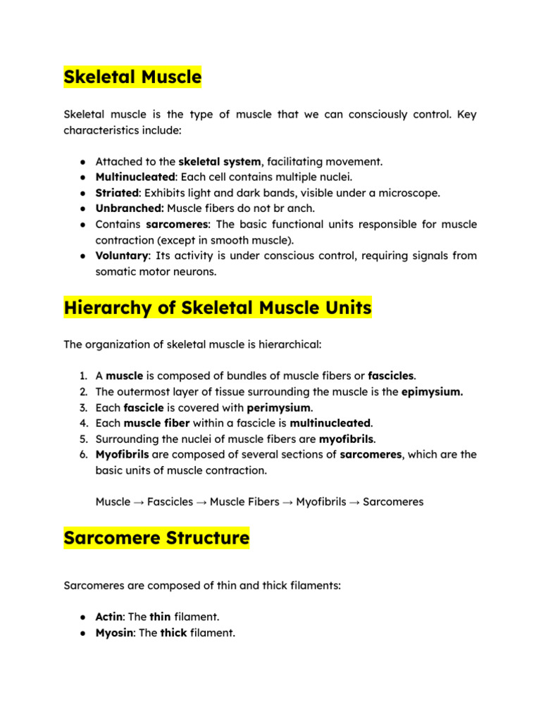 Understanding Skeletal Muscle Function | PDF | Nervous System | Muscle ...