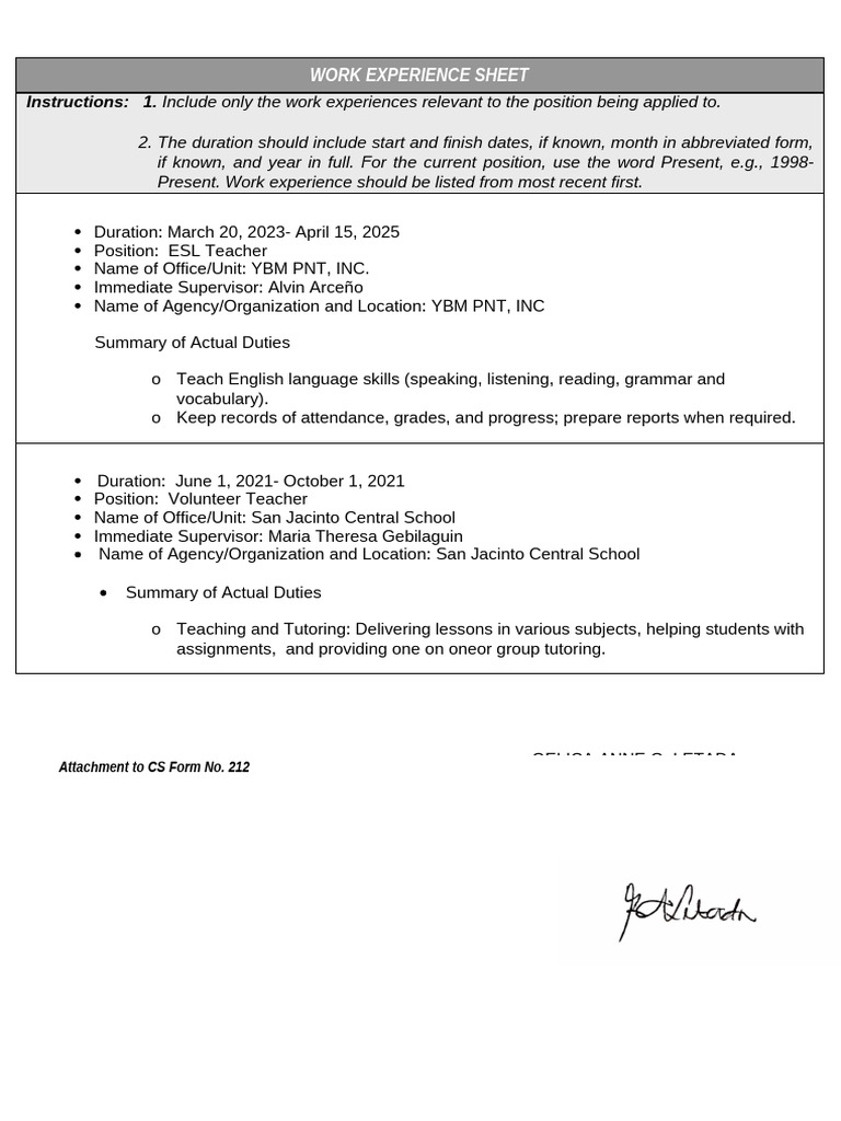 Work Experience Sheet | PDF