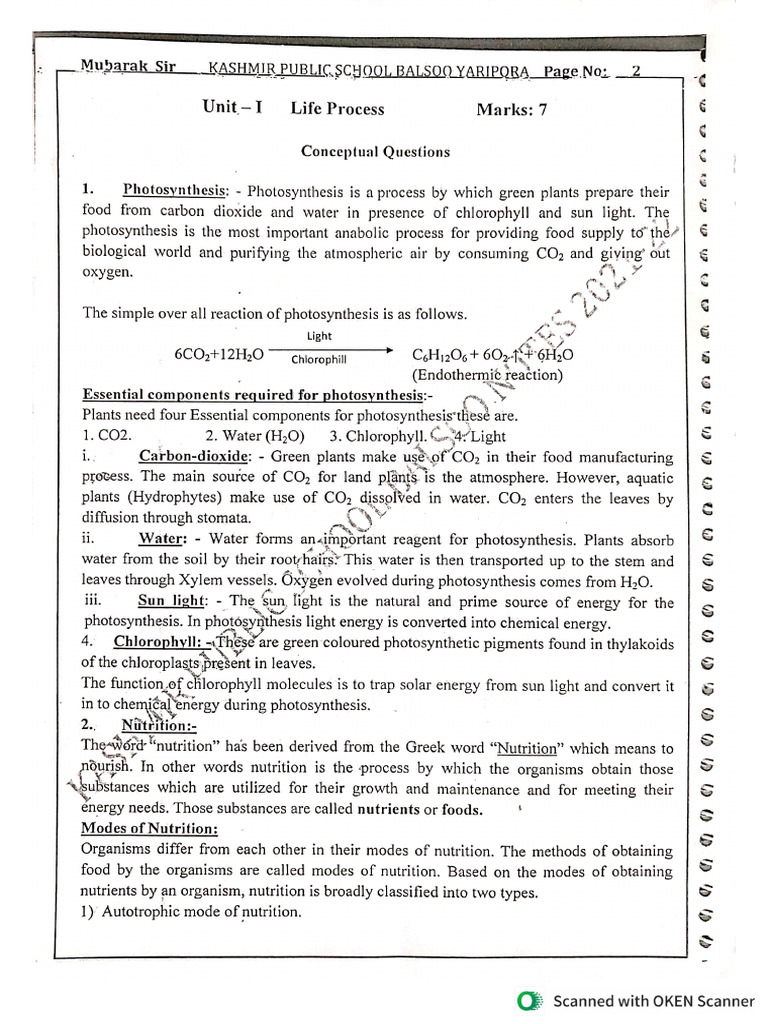 Life Processes NOTES | PDF