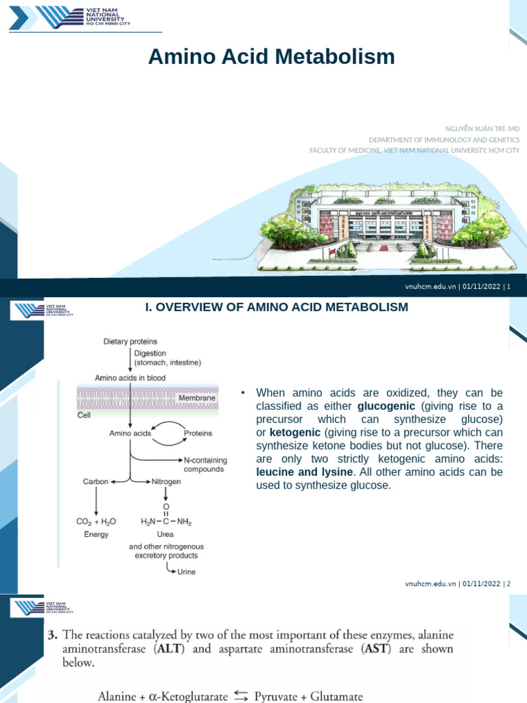Amino Acid Metabolism | PDF | Biosynthesis | Metabolism