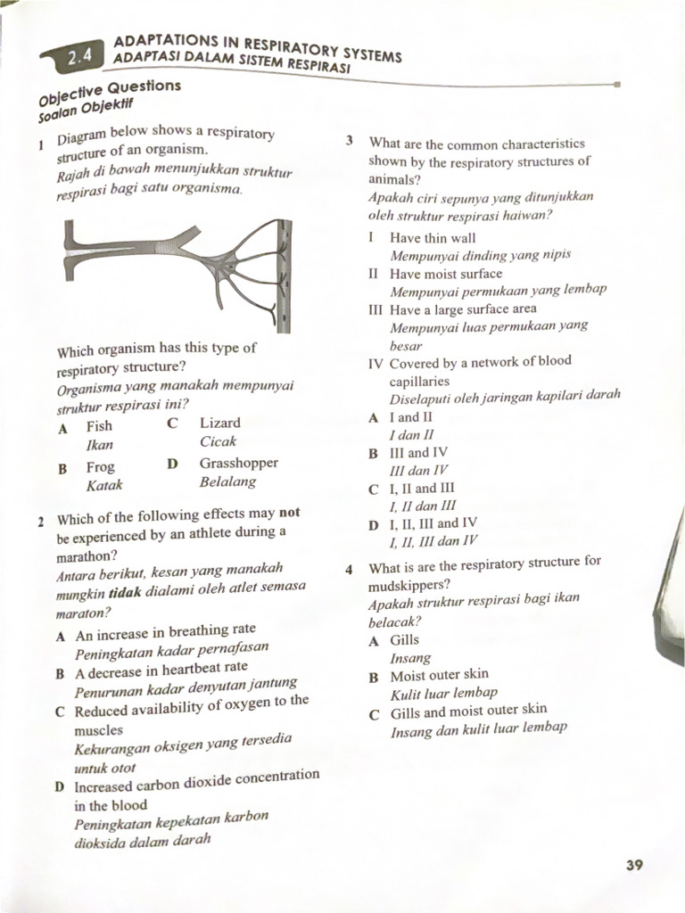 2 4 | PDF