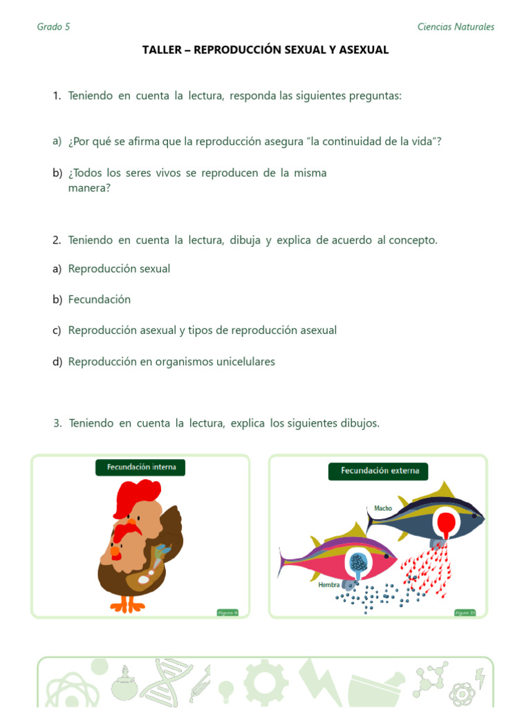 Taller sobre Reproducción Sexual y Asexual | PDF