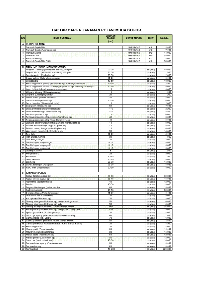 27+ Daftar Harga Dan Gambar Tanaman Hias Kekinian - Informasi Seputar