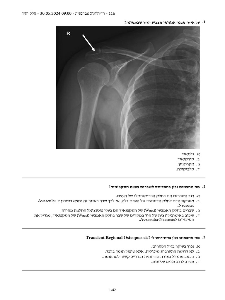 Exam Radiology 01052024 | PDF