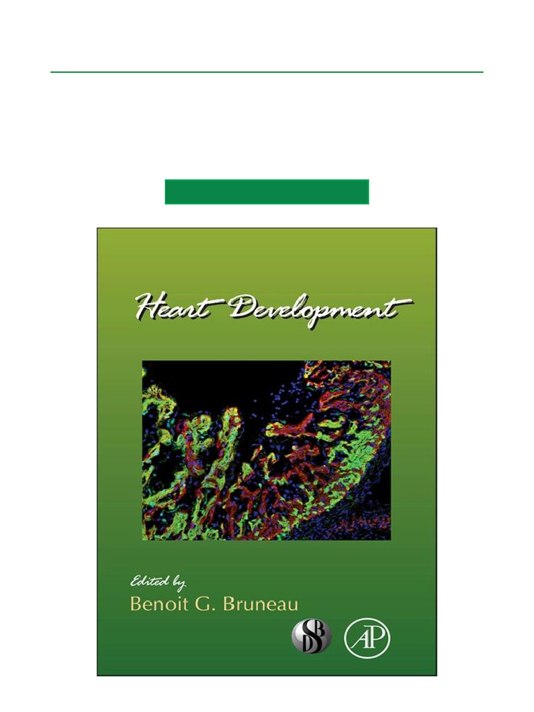 Heart Development Insights and Advances | PDF | Cellular ...