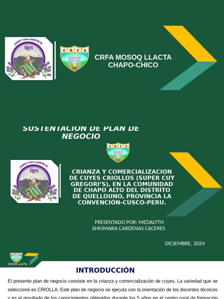 Crfa Mosoq Llacta-Shiomara | PDF | Plan de negocios | Marketing