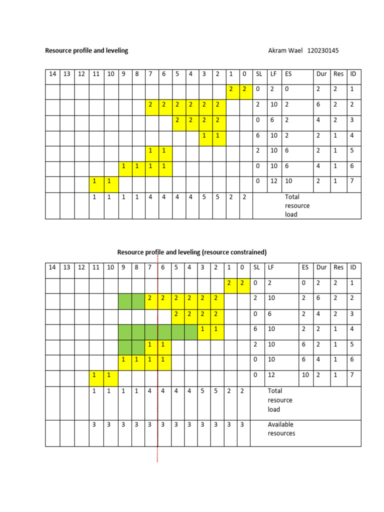 Resource Profile and Leveling | PDF