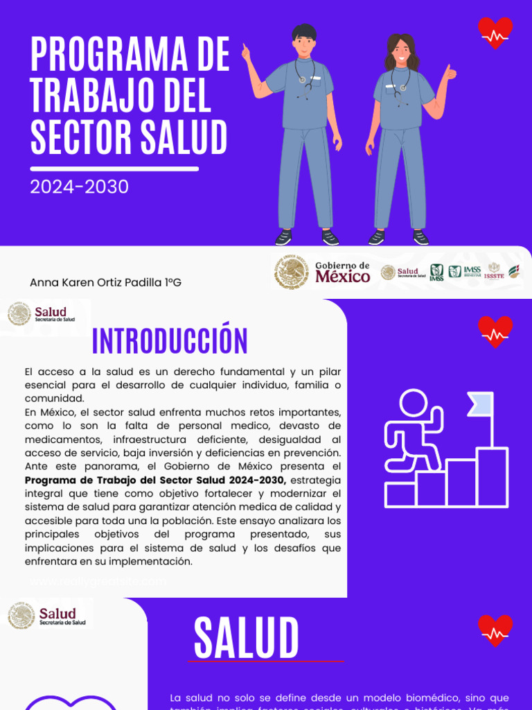 Programa de Trabajo Salud 2024-2030 | PDF | Cuidado de la salud | Hospital
