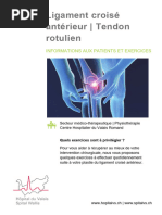 Protocole Stanish pour tendinopathies | PDF | Tendon | Genou