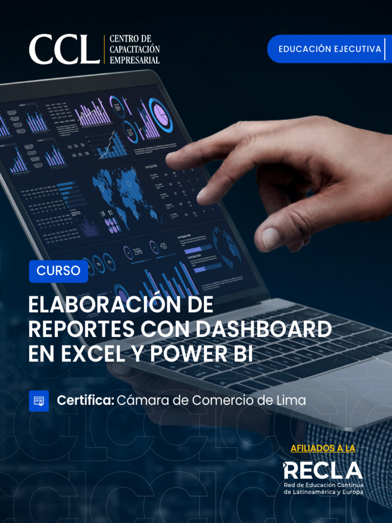 Brochure Curso Elaboración de Reportes Con Dashboard en Excel y Power ...
