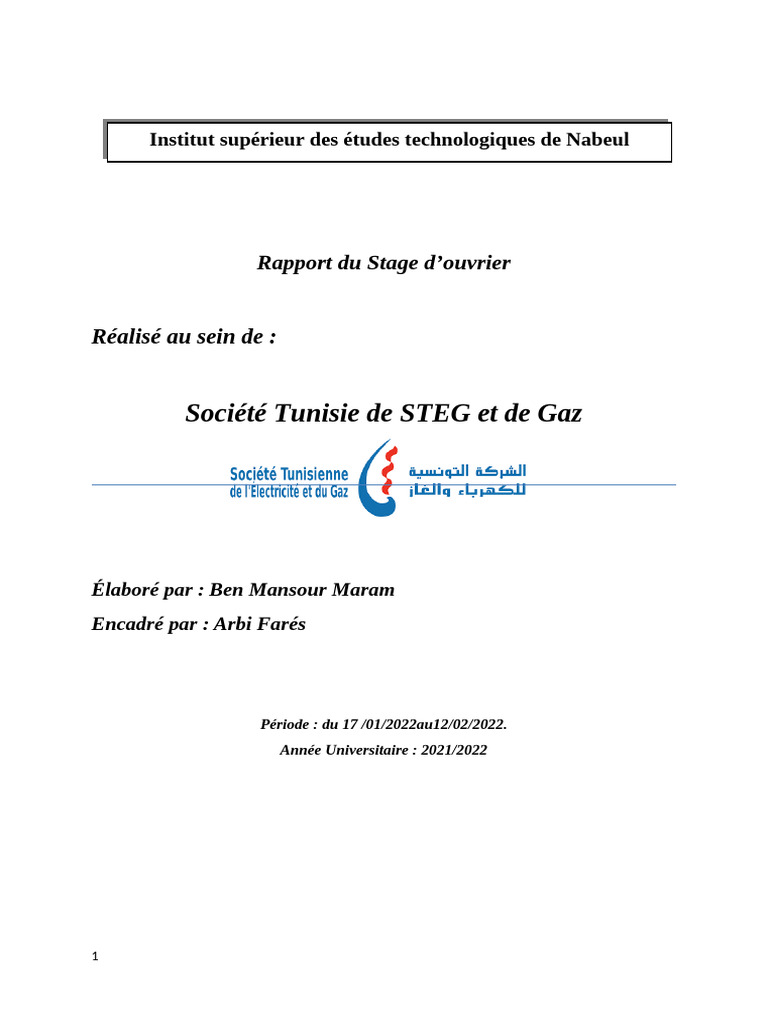 Rapport de Stage à la STEG | PDF | Facture | Gaz naturel
