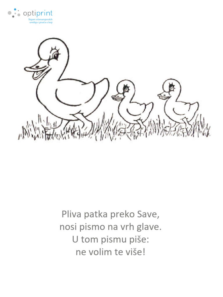 Račke | PDF