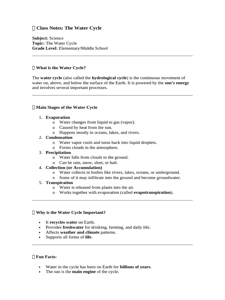 Understanding the Water Cycle Basics | PDF