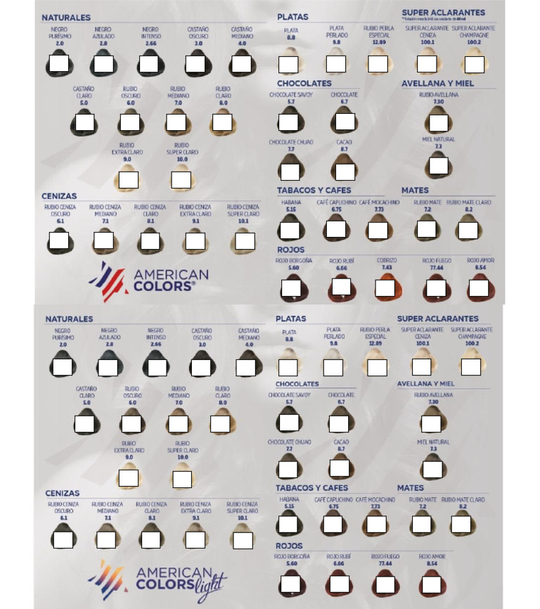 Pedido American Color | PDF