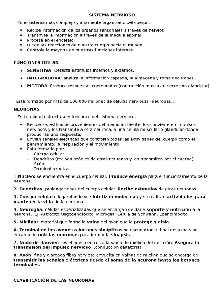 Funciones y Estructura del Sistema Nervioso | PDF | Neurona | Sistema ...