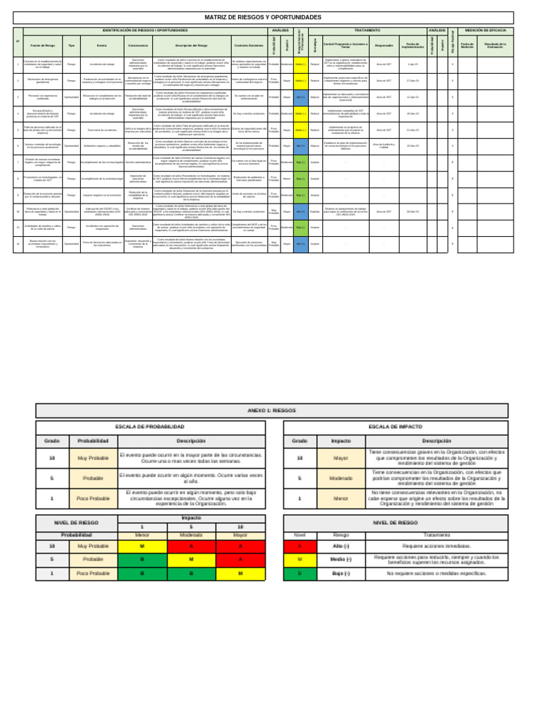 Matriz de Riesgos y Oportunidades SST | PDF | Riesgo | Probabilidad