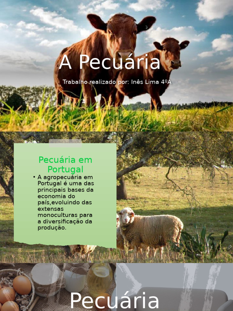 Tipos de Pecuária em Portugal | PDF | Abelhas | Bode
