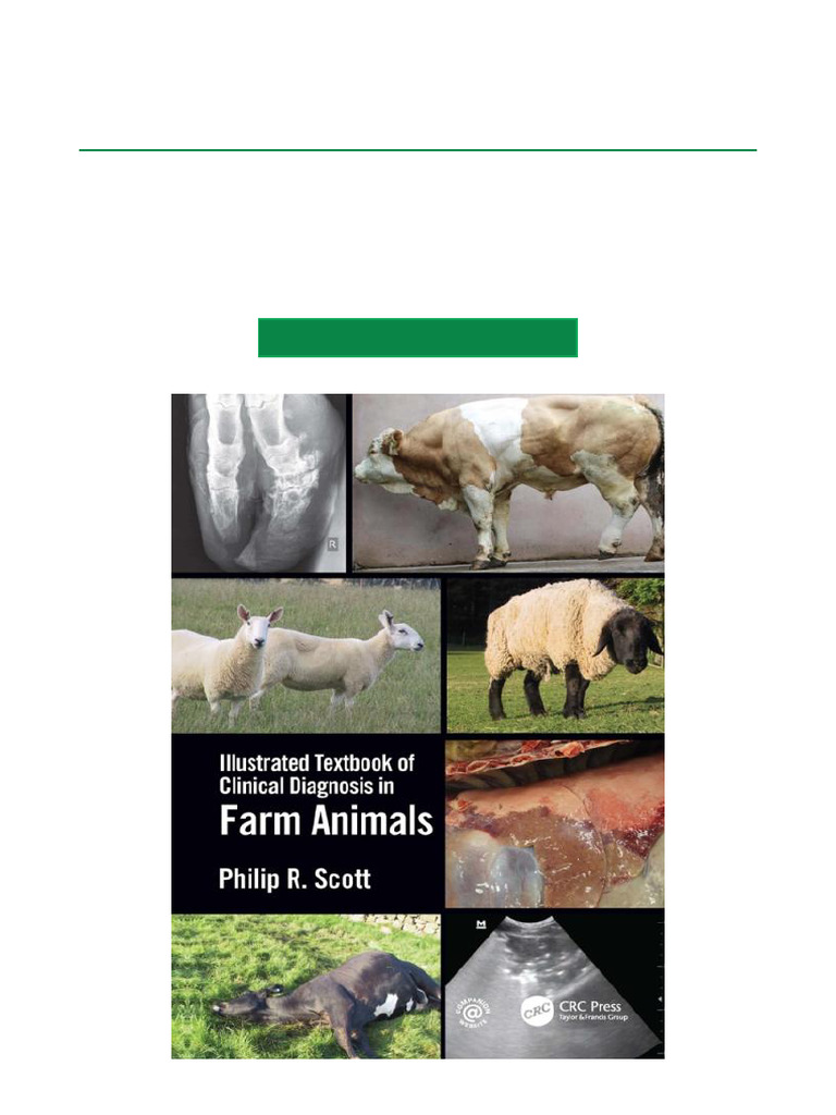 Clinical Diagnosis in Farm Animals | PDF | Medical Ultrasound ...
