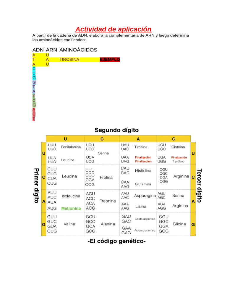 Actividad Cod | PDF