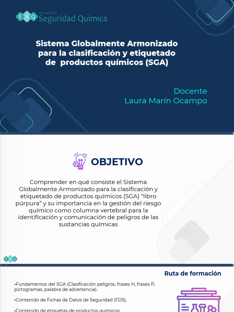 Guía del Sistema Globalmente Armonizado SGA | PDF | Alergia | Toxicidad