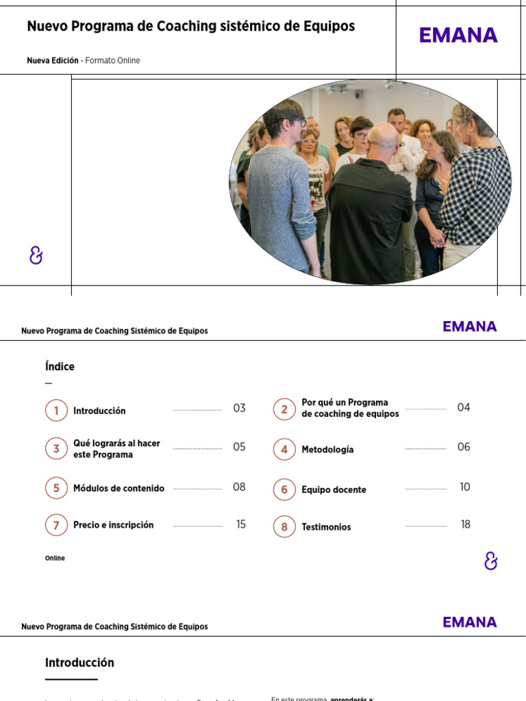 Programa Online de Coaching Sistémico | PDF | Aprendizaje | Maestros
