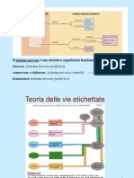 I Recettori Sensoriali