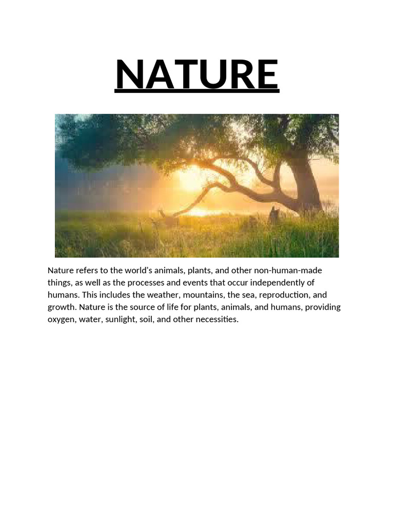 Nature | PDF