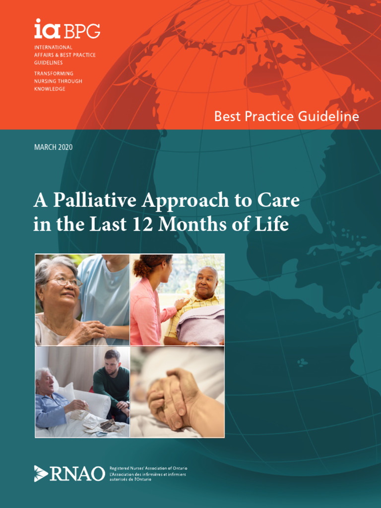 Palliative Care Guidelines Overview | PDF | Palliative Care | End Of ...
