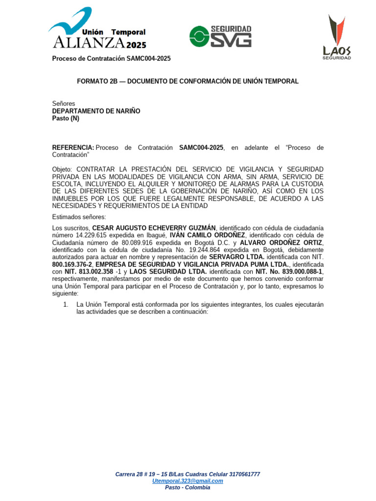4.2 Formato 4 - Conformación de Proponente Plural | PDF