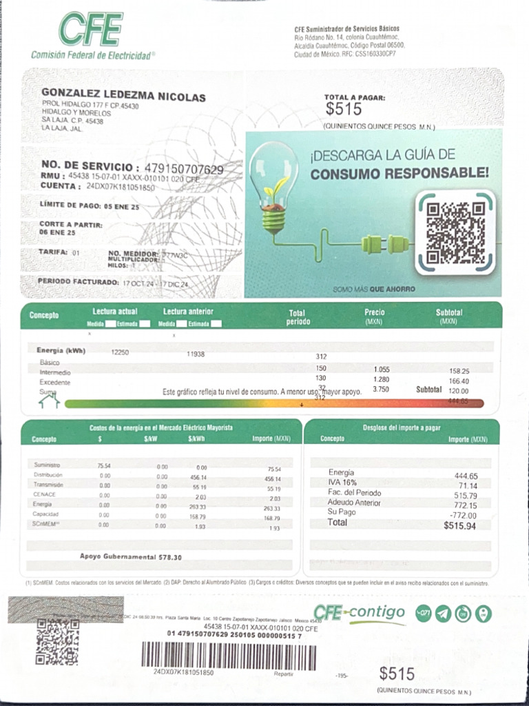 CFE Formato | PDF