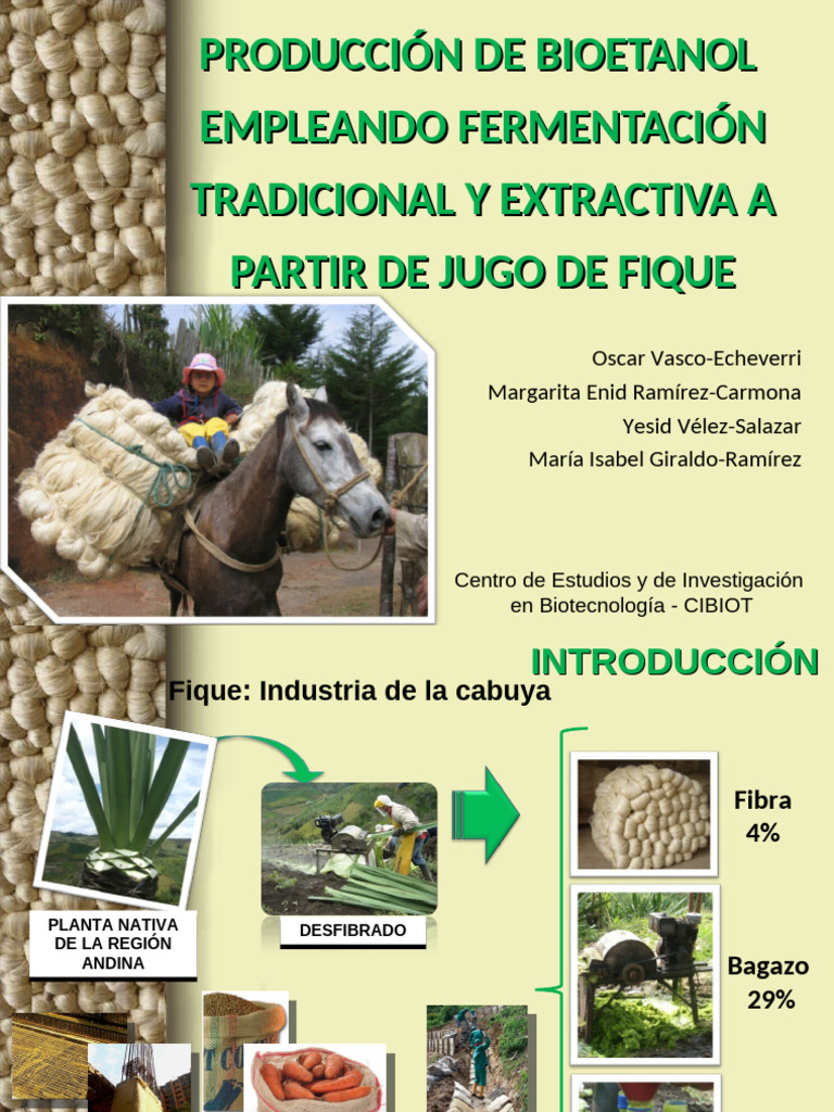 Producción de Bioetanol Empleando Fermentación Tradicional Y Extractiva ...