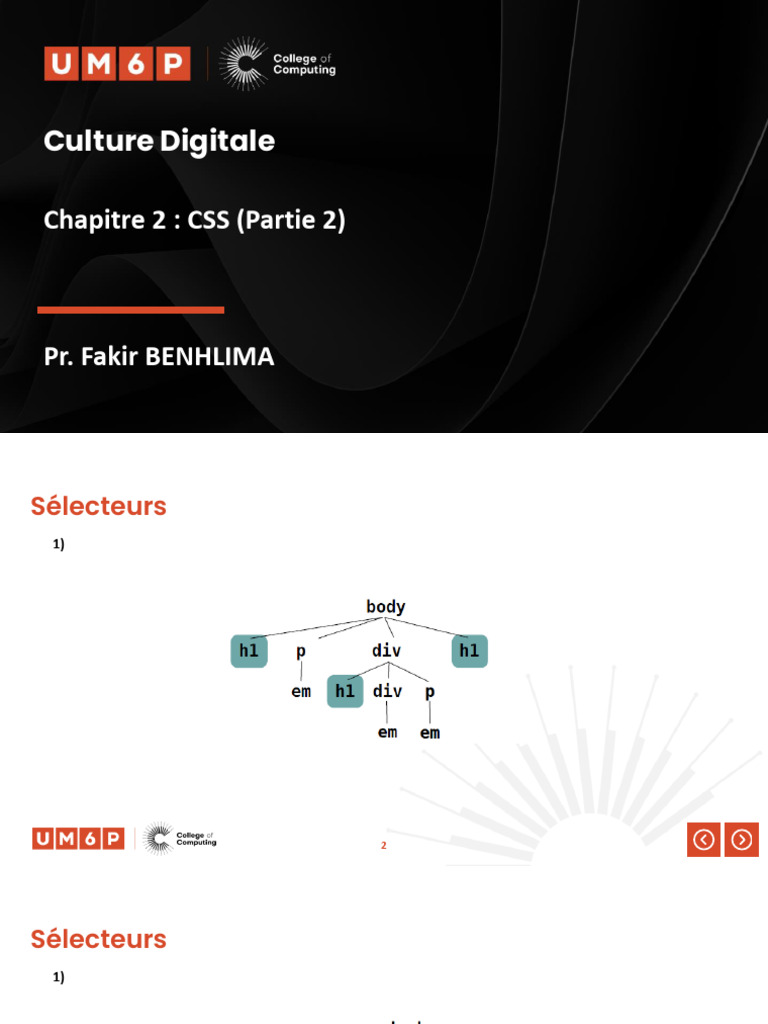 Priorité des Sélecteurs CSS | PDF