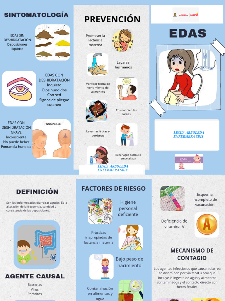 Folleto Eda Pdf Diarrea Heces