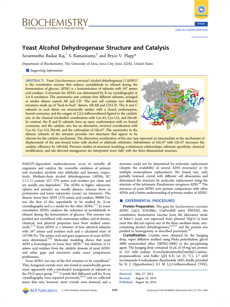 Yeast ADH1 Structure and Catalysis Insights | PDF | Beta Sheet | Proteins
