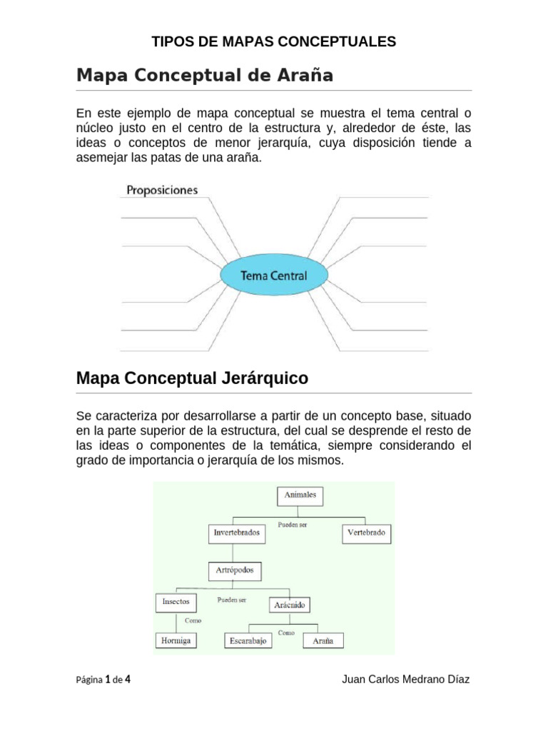 Mapa Conceptual de Araña | PDF | Mapa | Información