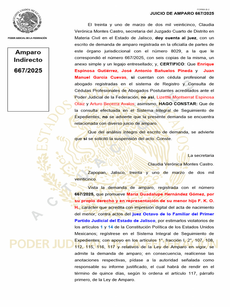 Juicio de Amparo 667/2025 en Jalisco | PDF | Multa (pena) | Demanda ...