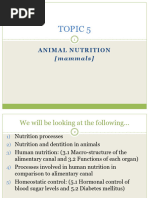 Grade 11 Animal Nutrition Overview | PDF | Digestion | Small Intestine