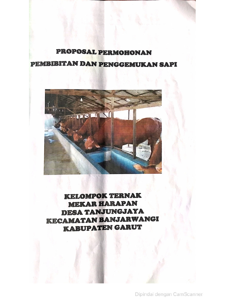 Proposal Sapi | PDF